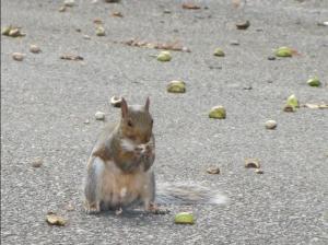 IMG_0353 (2)_resized