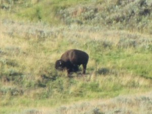 IMG_4920_resized (2)