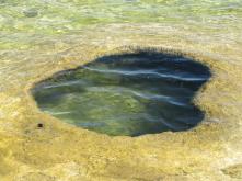 They like a hot bath