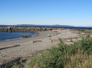 The beach and jetty at Brackett's Landing