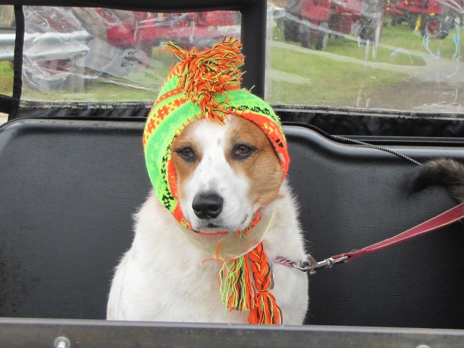 "Is it really that cold this morning?"