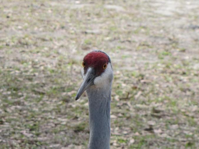 This guy was about 3 feet away from me