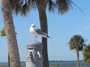 A local resident perched on the shower stand