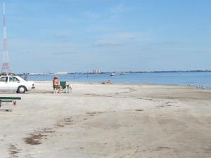 Looking east at the beach section with no trees