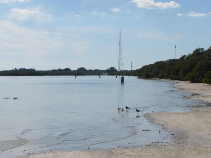 Looking west towards St. Petersburg