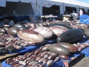 From India, solid naturally shaped river rocks