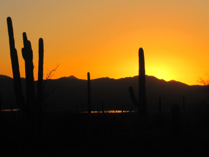 A beautiful blaze of the day's last light