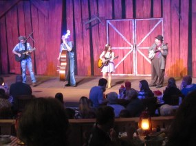 Playing "Foggy Mountain Breakdown"