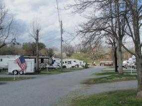 Large well spaced sites