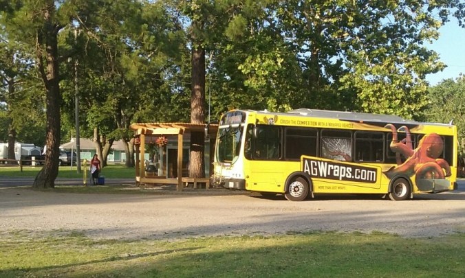 Convenient covered bus stop: runs all day every 20 minutes 