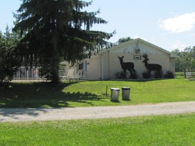 Showers, bathrooms and pool house