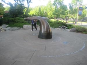 The center of the garden