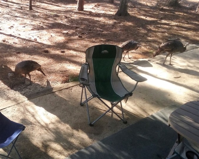 IMG_20171116_154319_780