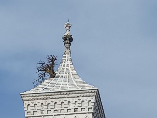 Greensburg Indiana's unique tower tree | Roadtirement