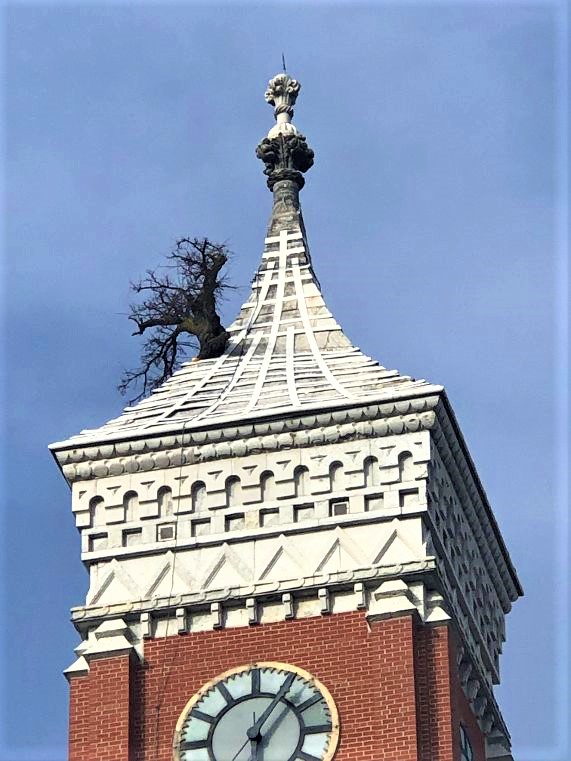 Greensburg Indiana's unique tower tree | Roadtirement