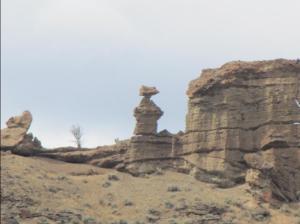 IMG_4836 (2)_resized