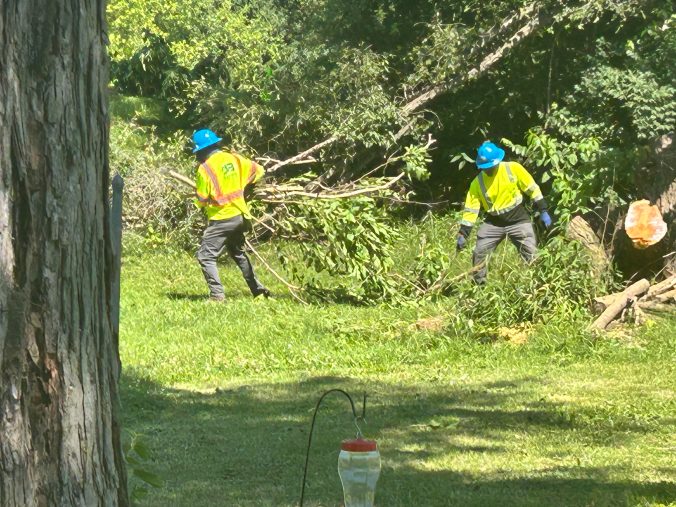 Duke Energy takes a huge Mulberry tree from our yard | Roadtirement